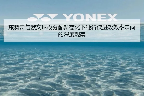 东契奇与欧文球权分配新变化下独行侠进攻效率走向的深度观察